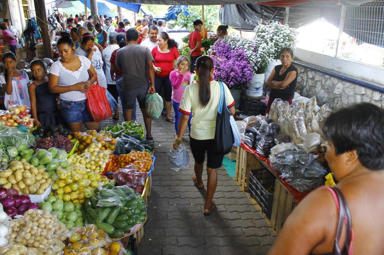 Posada Lupita Puerto Escondido  Bagian luar foto